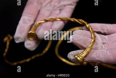 Une partie de la collection de torques d'or qui a été trouvé sur le Staffordshire terres agricoles. La trouver est que l'on croit : les exemples les plus anciens de l'âge de fer or jamais découvert en Grande-Bretagne. Banque D'Images