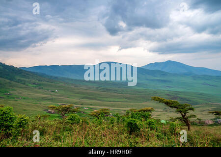 Paysage en Tanzanie, la dépression près de Ngorongoro Banque D'Images