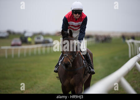 Countryside Alliance Jour - Badbury Rings point to point 26 Feb 2017 Banque D'Images