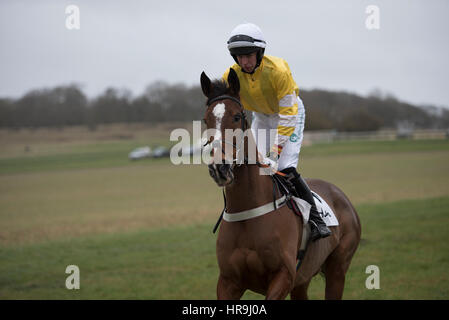 Countryside Alliance Jour - Badbury Rings point to point 26 Feb 2017 Banque D'Images