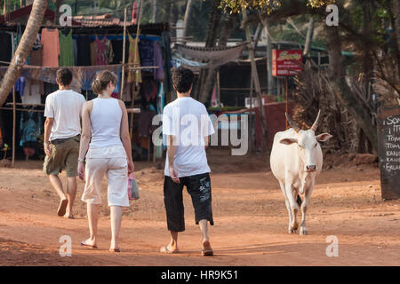 Affaires, les touristes,,sacré hindou,saint,vache,de,plage,Anjuna Goa, Inde,,Indian,Asia,Asiatique, Banque D'Images