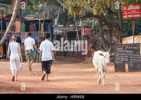 Affaires, les touristes,,sacré hindou,saint,vache,de,plage,Anjuna Goa, Inde,,Indian,Asia,Asiatique, Banque D'Images