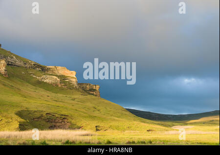 Les hautes prairies du Golden Gate Highlands National Park dans l'Etat libre d'Afrique allient beauté des paysages et de la faune. Banque D'Images