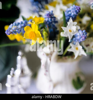 Les jonquilles dans un vase. Banque D'Images