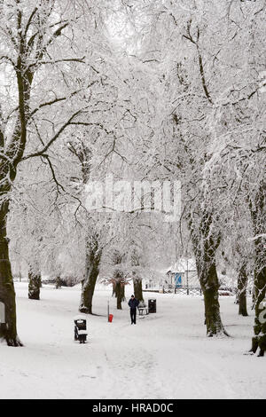 Strathaven dans la neige, d'arbres couverts de neige Banque D'Images