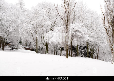 Strathaven dans la neige, d'arbres couverts de neige Banque D'Images