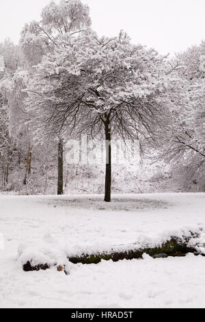 Strathaven dans la neige, d'arbres couverts de neige Banque D'Images