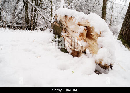 Strathaven dans la neige Banque D'Images