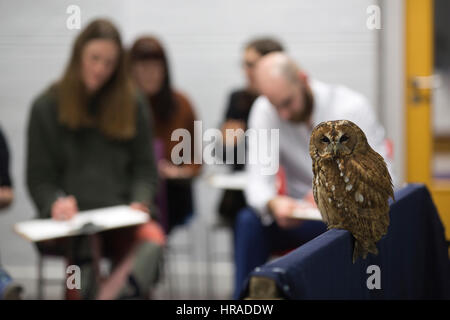 Les personnes assistant à une soirée d'art de dessin dessin classe Bengale eagle-hiboux et d'autres animaux sauvages, London, UK Banque D'Images