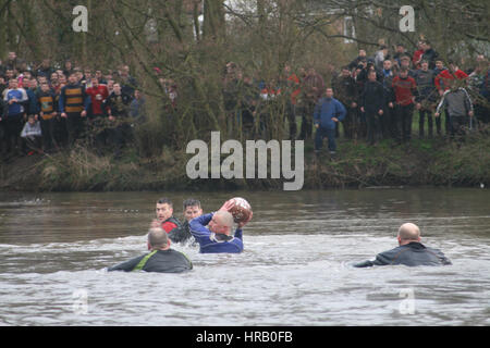 Ashbourne, Derbyshire, Royaume-Uni. La Rumble annuel entre le Uppards Downards et c'est Royal Footabll Ashbourne Mardi Gras. Essentiellement une mêlée de rugby géant qui a lieu sur l'ensemble de la ville, les joueurs ont pour but la balle à l'un des deux buts et l'équipe que vous jouez dépend de si vous êtes né vers le haut ou vers le bas de la Henmore Brook qui troupeaux à travers la ville. La chose entière a lieu de nouveau demain (1er mars), le mercredi des Cendres. L'ensemble de la natation joueurs Henmore Brook. Banque D'Images