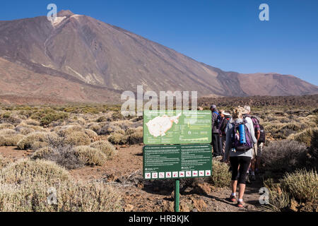 Les cadres supérieurs les marcheurs de partir sur un parcours dans le Las Canadas del Teide national park à Tenerife, Îles Canaries, Espagne Banque D'Images