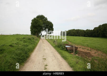 Les routes dans le sud de la hollande Banque D'Images