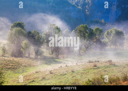 Ferme de moutons dans les montagnes on foggy matin de printemps - les montagnes Apuseni, Transylvanie Banque D'Images