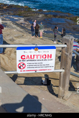 Attention, ne pas approcher les phoques/Lions de mer. La Jolla, Californie. Banque D'Images