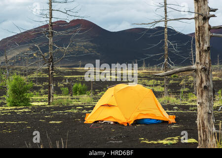 Tente tourisme dans le bois mort, une conséquence d'un déversement catastrophique de cendres lors de l'éruption du volcan Tolbachik en 1975 Banque D'Images