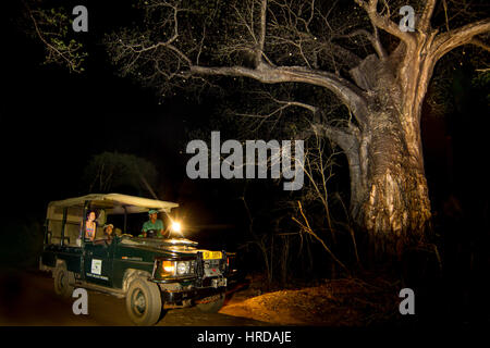 Réserve faunique Majete au Malawi est un des pays les plus populaires destination de safari et actuellement le seul parc avec les Big Five. Banque D'Images