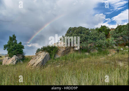 Les hautes prairies du Golden Gate Highlands National Park dans l'Etat libre d'Afrique allient beauté des paysages et de la faune. Banque D'Images