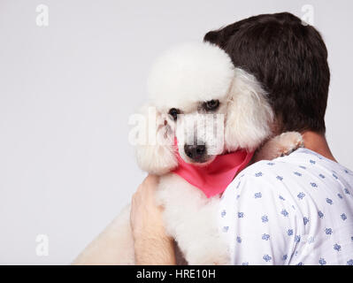 L'homme chien caniche blanc hug isolé sur fond blanc. L'amitié de l'Homme et chien Banque D'Images