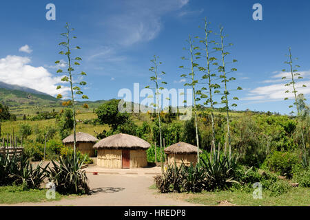 Maison de terre ronde traditionnelle en Afrique Banque D'Images