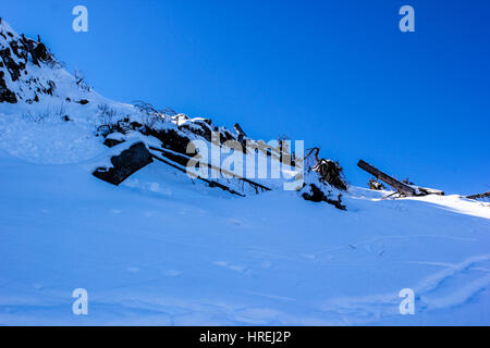 Winter Wonderland - Winterlandschaft Banque D'Images