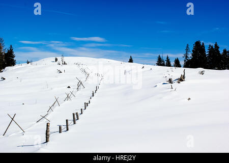 Winter Wonderland - Winterlandschaft Banque D'Images