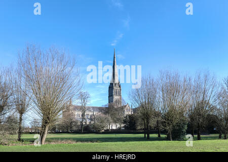 La cathédrale de Salisbury, Salisbury, Wiltshire, Angleterre, Royaume-Uni Banque D'Images