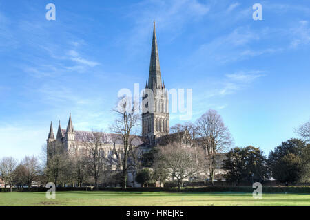 La cathédrale de Salisbury, Salisbury, Wiltshire, Angleterre, Royaume-Uni Banque D'Images