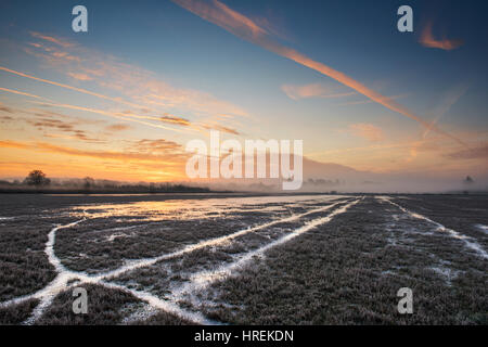 Lever du soleil sur un brouillard froid hiver glacial matin dans la campagne de l'Oxfordshire. Rois Sutton, Oxfordshire / Northamptonshire frontière, UK Banque D'Images