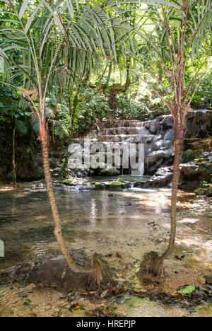 Cascade dans la forêt profonde de Palenque au Mexique Banque D'Images