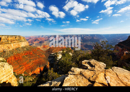 Kaibab Sud South Rim, le Parc National du Grand Canyon, Arizona Banque D'Images