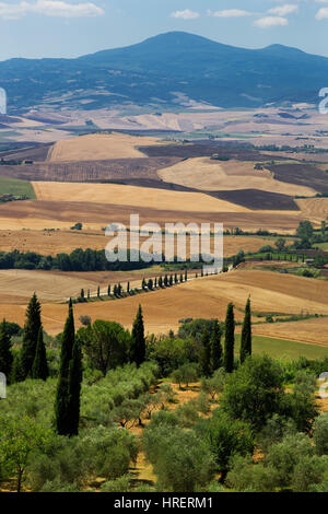 Pienza, Toscane, Italie Banque D'Images