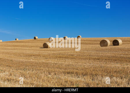 Domaine de la tour des balles de foin en balles fraîchement, Toscane, Italie Banque D'Images