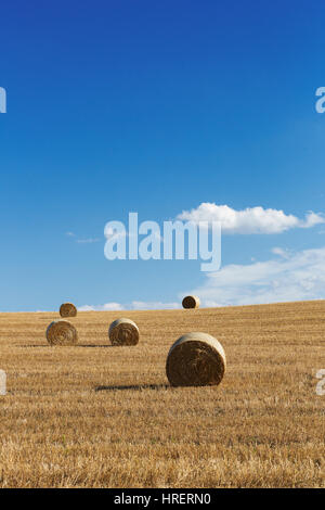 Domaine de la tour des balles de foin en balles fraîchement, Toscane, Italie Banque D'Images