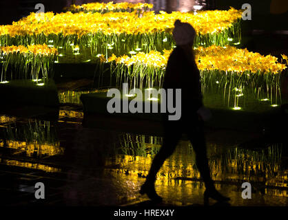 Une installation de 2,100 jonquilles faites à la main, intitulé le « jardin de la lumière », qui est dévoilé au public pour lancer l'appel Marie Curie Great Daffodil à l'approche de la Journée Daffodil le 31 mars, à Londres. Banque D'Images