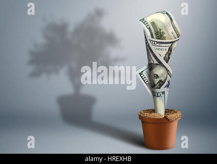 Finances concept créatif, de l'argent comme arbre en pot Banque D'Images