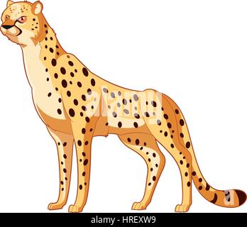 Cartoon smiling Cheetah Illustration de Vecteur