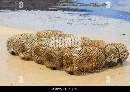 Bambou tissés typiquement malgache de pêche de crustacés sur plage de Nosy Be. Scène rurale de Madagascar. Banque D'Images