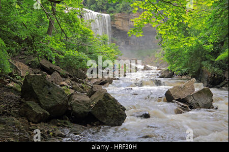 Websters Falls près de Hamilton Ontario Canada Banque D'Images