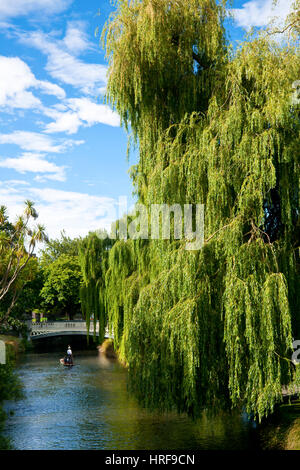 Promenades en barque sur la rivière Avon à Christchurch, Nouvelle-Zélande Banque D'Images