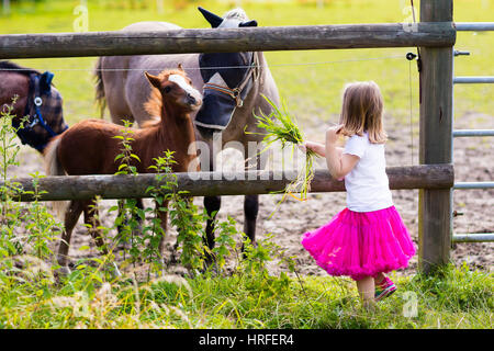 Petite fille jouant avec la mère et l'enfant des chevaux aux beaux jours d'été dans le pays. L'alimentation de l'enfant et son poulain animal. Les enfants s'occuper des animaux domestiques animaux Banque D'Images