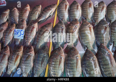 Poisson frais entier dans un marché en Thaïlande Banque D'Images