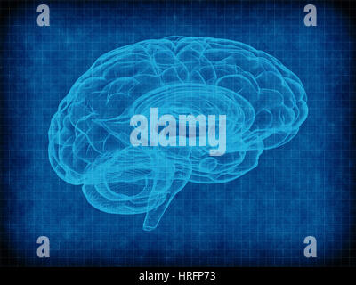 Cerveau humain sur fond de grille bleu Banque D'Images