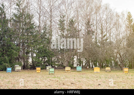 Ruches en bois coloré dans un jardin au début du printemps Banque D'Images