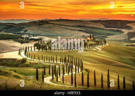 La toscane, paysage rural coucher du soleil. Campagne ferme, cyprès, arbres champ vert, la lumière du soleil et de nuages. L'Italie, l'Europe. Banque D'Images