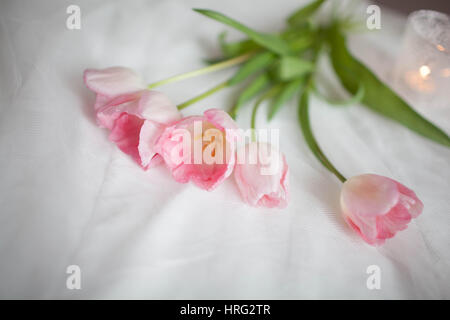 Tulipe rose se trouvent sur un linge blanc en face de bougies. Contexte Banque D'Images