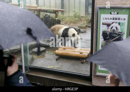 Tokyo, Japon. 2 mars 2017. Les visiteurs regarder Ri Ri, un homme grand panda à son enclos au Zoo de Ueno le 2 mars 2017, Tokyo, Japon. Le zoo de Ueno de Tokyo pandas géants (Shin Shin et Ri Ri) accouplé pour la première fois en quatre ans lundi. Zoo de Ueno a annoncé que les pandas se sont accouplés pour 52 secondes. Il y a maintenant moins de 2 000 pandas géants dans la nature. Credit : Rodrigo Reyes Marin/AFLO/Alamy Live News Banque D'Images