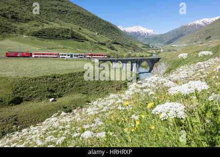 Rouge typique train suisse sur Hospental Viadukt entouré de creek et fleurs, Andermatt, Canton d'Uri, Suisse Banque D'Images