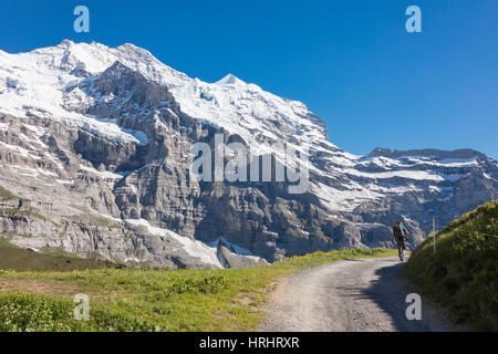 Randonneur sur le chemin entre verts pâturages et des sommets enneigés, Wengernalp, Wengen, Oberland Bernois, Canton de Berne, Suisse Banque D'Images