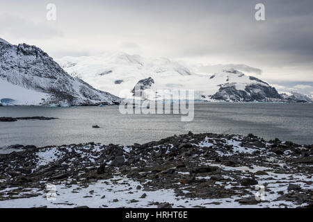 Vue sur l'Île du Couronnement, îles Orcades du Sud, l'Antarctique, régions polaires Banque D'Images