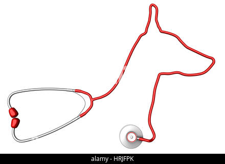 En forme de chien stéthoscope. Concept de soins de santé pour animaux de compagnie Banque D'Images